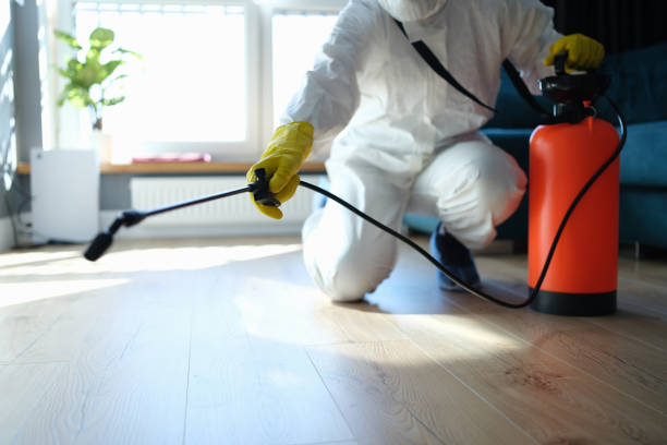 Best Pest Prevention Services  in Big Rapids, MI