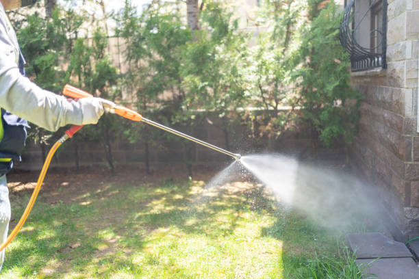 Best Local Pest Control Services  in Big Rapids, MI