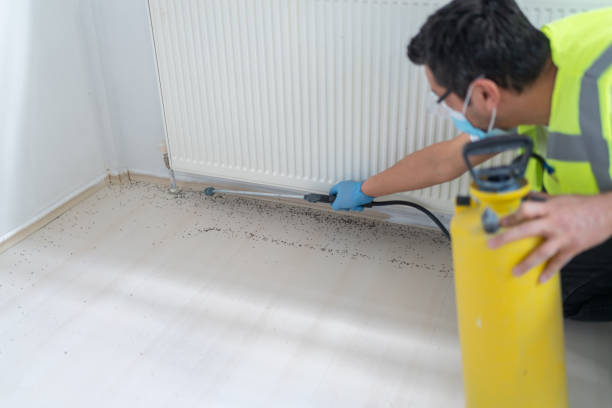 Best Pest Control Near Me  in Big Rapids, MI