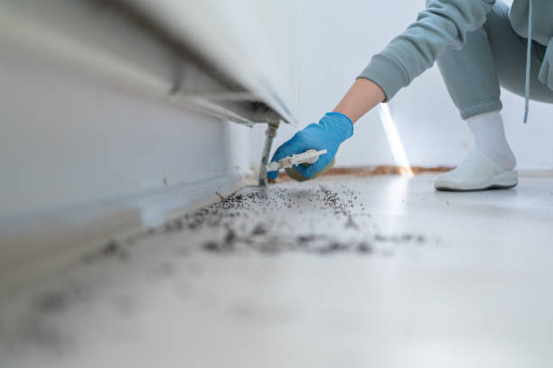 Best Wildlife Control Services  in Big Rapids, MI