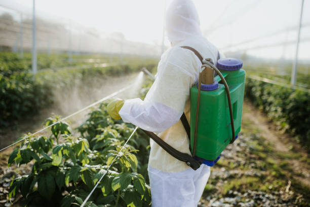 Best Local Pest Control Services  in Big Rapids, MI